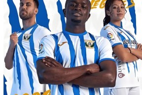 中欧在线入口 -五大联赛季初盘路点评之德甲分析